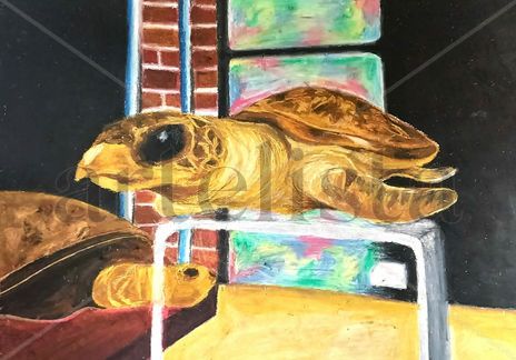 La tortuga