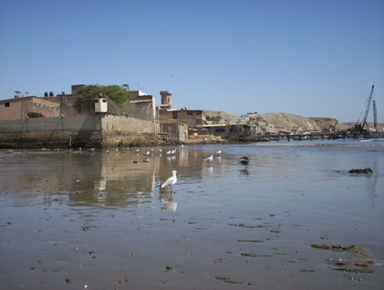 Reflejo