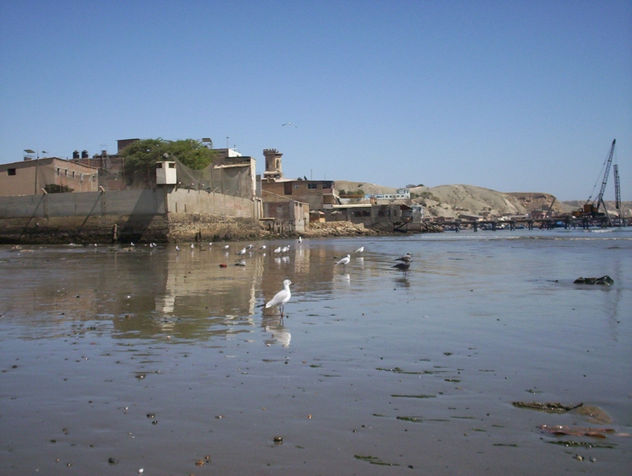 reflejo