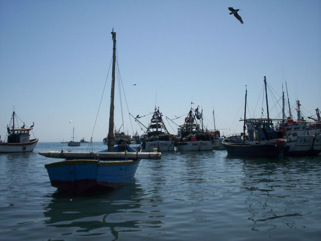 botes