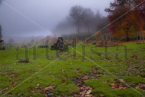 Niebla