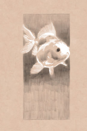 Fish 7