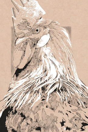 Gallo