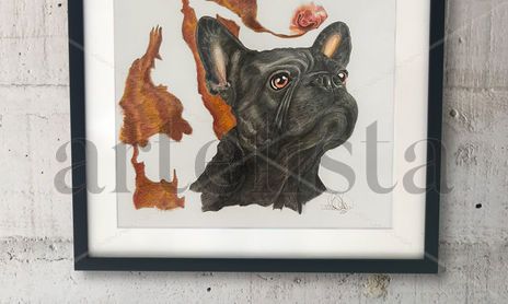 Animales