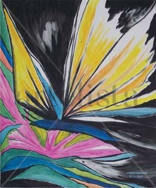 Mariposa en la noche