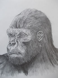 Gorilla