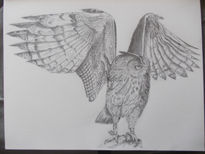 Wings of owl