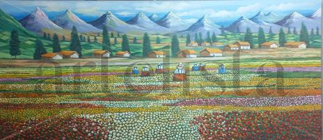 Paisaje