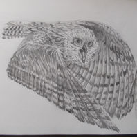 obra