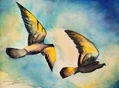 PALOMAS AL VUELO 3