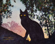ALMA DE GATO 1
