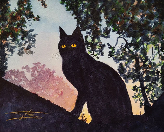 ALMA DE GATO 1