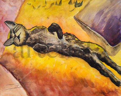 Alma de gato 2