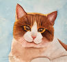 ALMA DE GATO 4