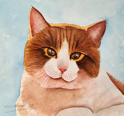 Alma de gato 4