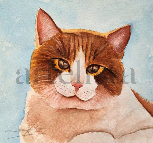 ALMA DE GATO 4 Watercolour Paper Animals