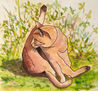ALMA DE GATO 5