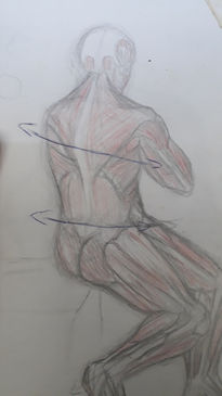 Dibujo anatomico