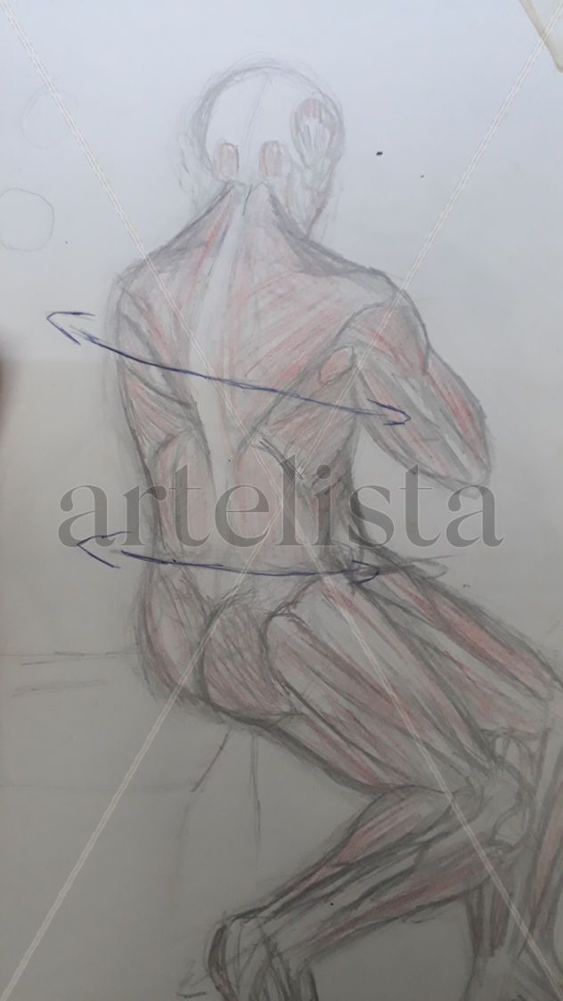 Dibujo anatomico