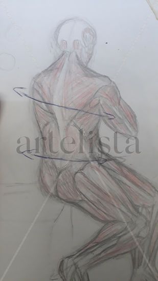 Dibujo anatomico 