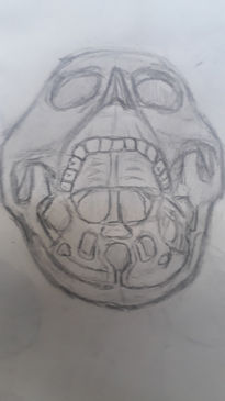 Dibujo anatomico