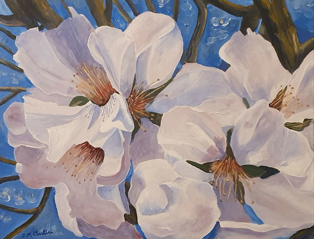 Hermosas flores de almendro