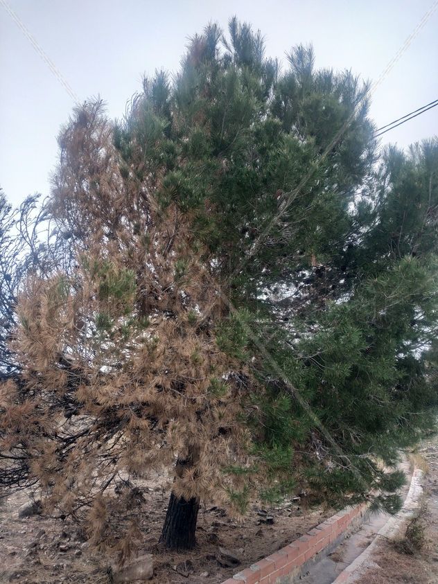 Ser humano en la naturaleza