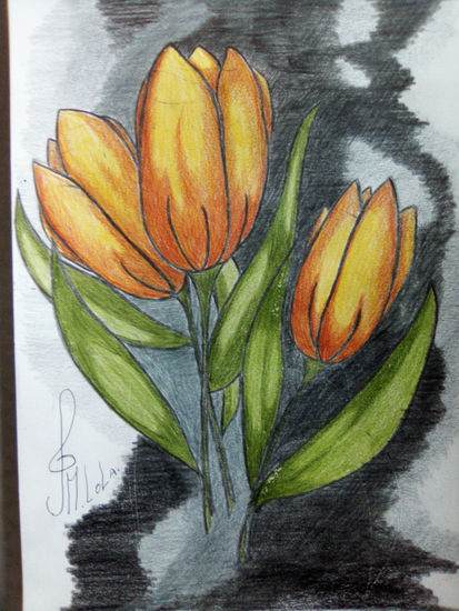 Tulipanes amarillos Pencil