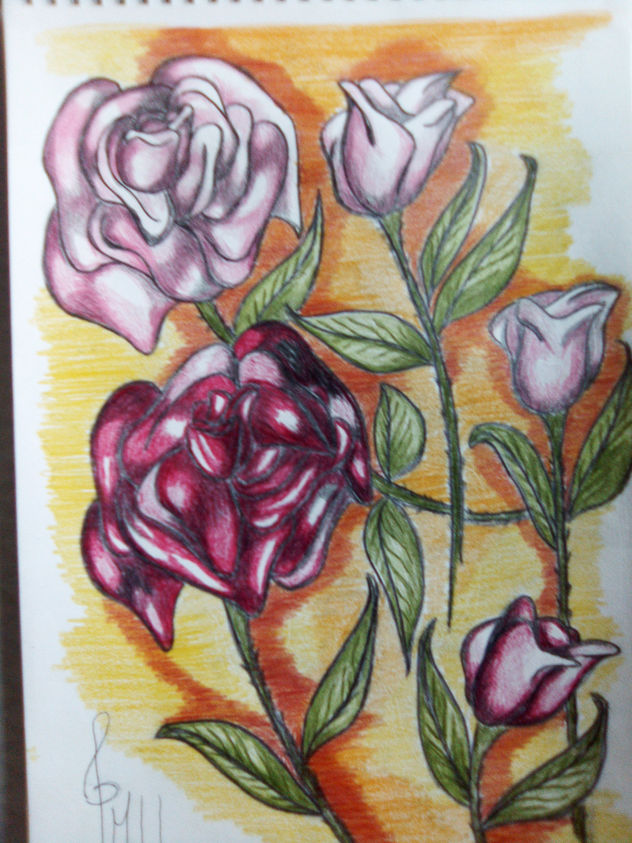 Rosas abiertas y capullos