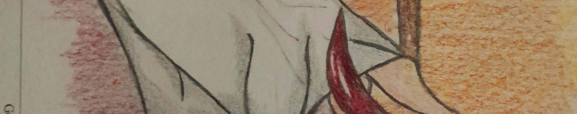 Imagen de portada