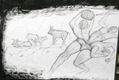 Los doce trabajos de Hercules.