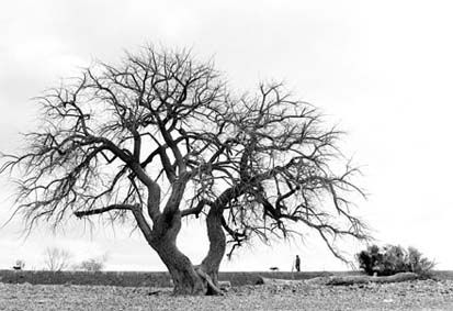 reserva ecologica Fotoperiodismo y documental Blanco y Negro (Digital)