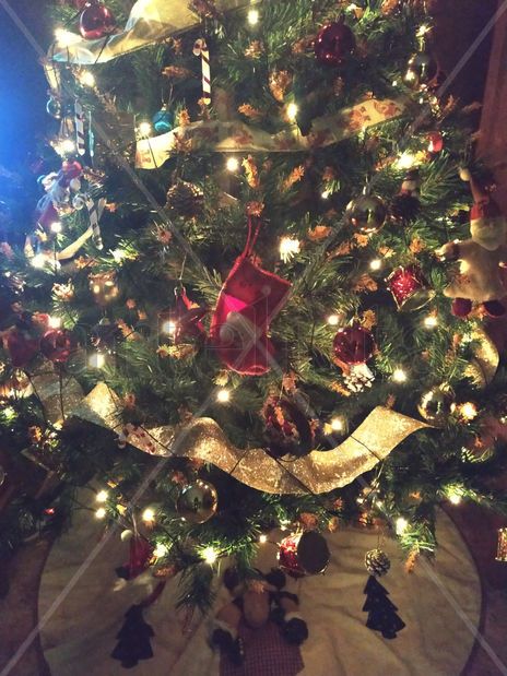 Navidad