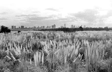 reserva ecologica Arquitectura e interiorismo Blanco y Negro (Química)