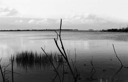 reserva ecologica Fotoperiodismo y documental Blanco y Negro (Química)