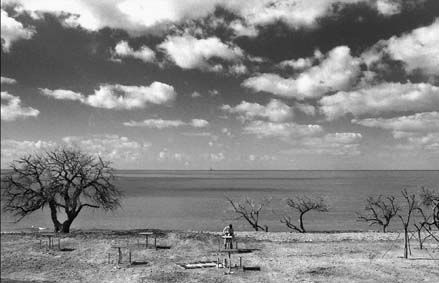reserva ecologica