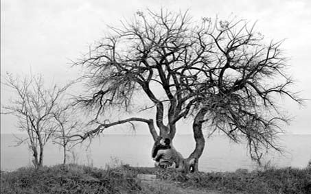 reserva ecologica Fotoperiodismo y documental Blanco y Negro (Química)