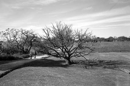 reserva ecologica Photojournalism and Documentary Black and White (Manual)