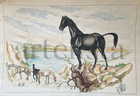 Caballos cerca del...