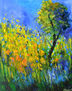 Summer wild flowers  7924