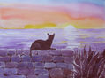 gato en el amanecer