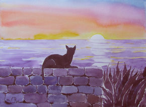 Gato en el amanecer