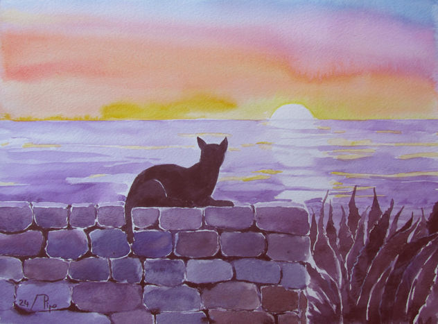 gato en el amanecer