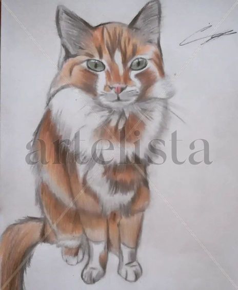 Gato naranja