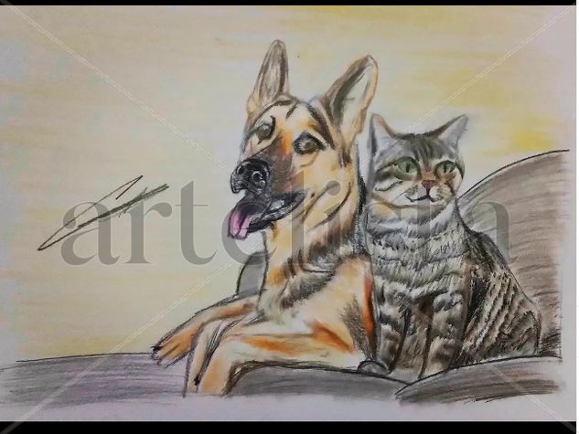 perro y gato Pencil