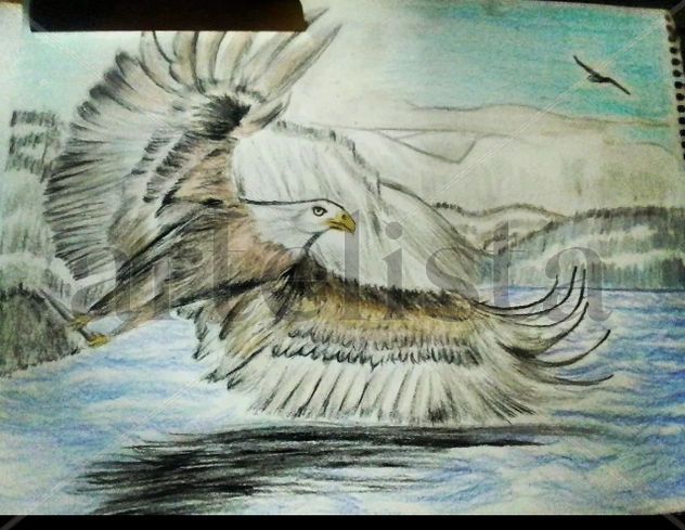 aguila libre