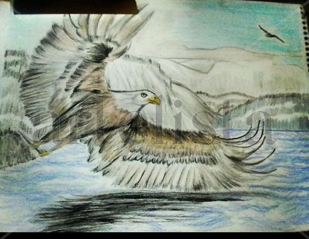 aguila libre Pencil