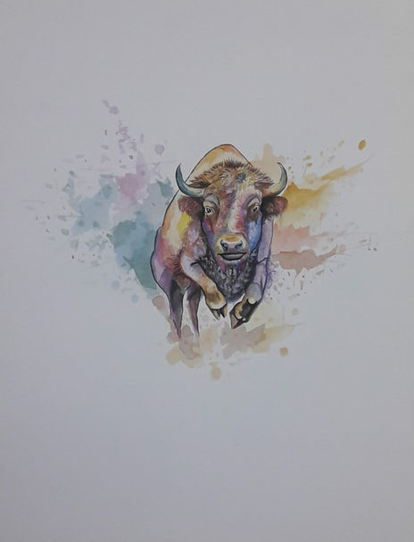 Toro Bravo