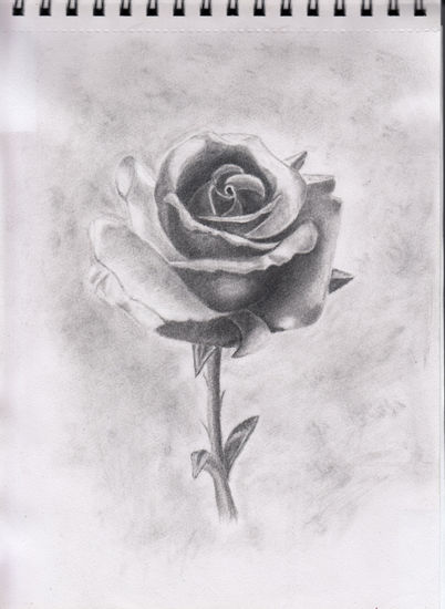 Rosa Charcoal