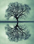 The Tree